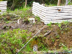 ジョビちゃんカップル③