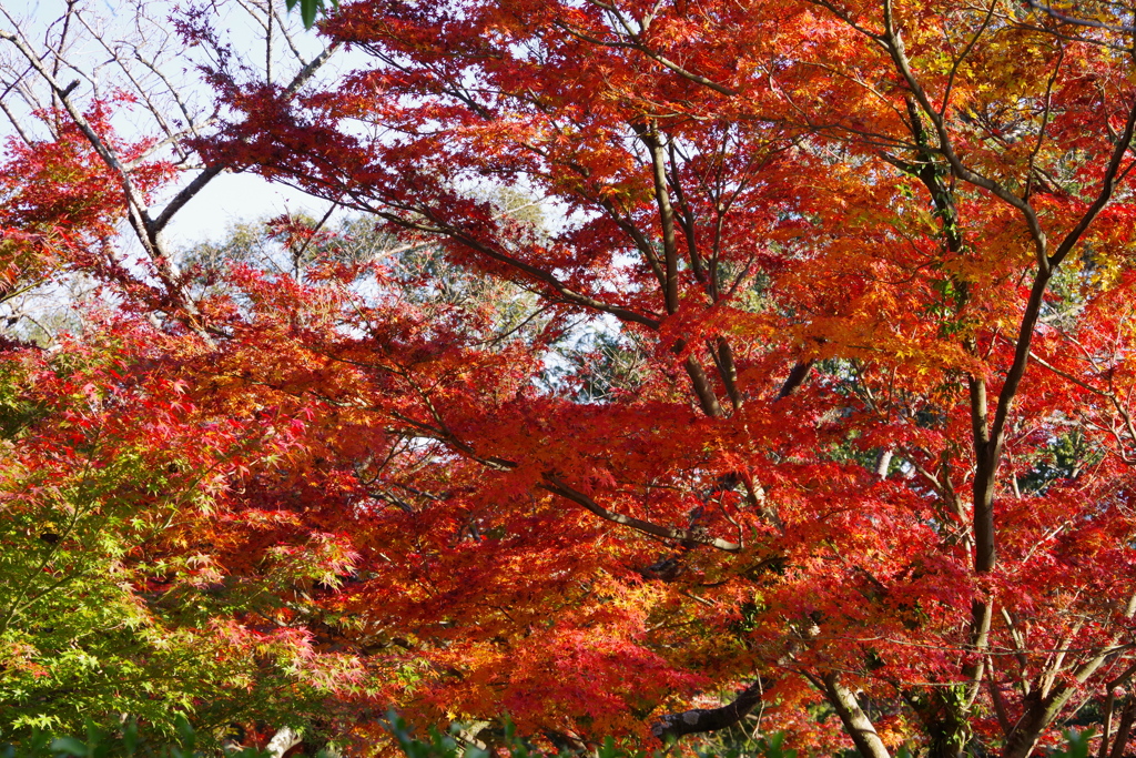 石山寺にて②