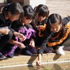 水面の魔法