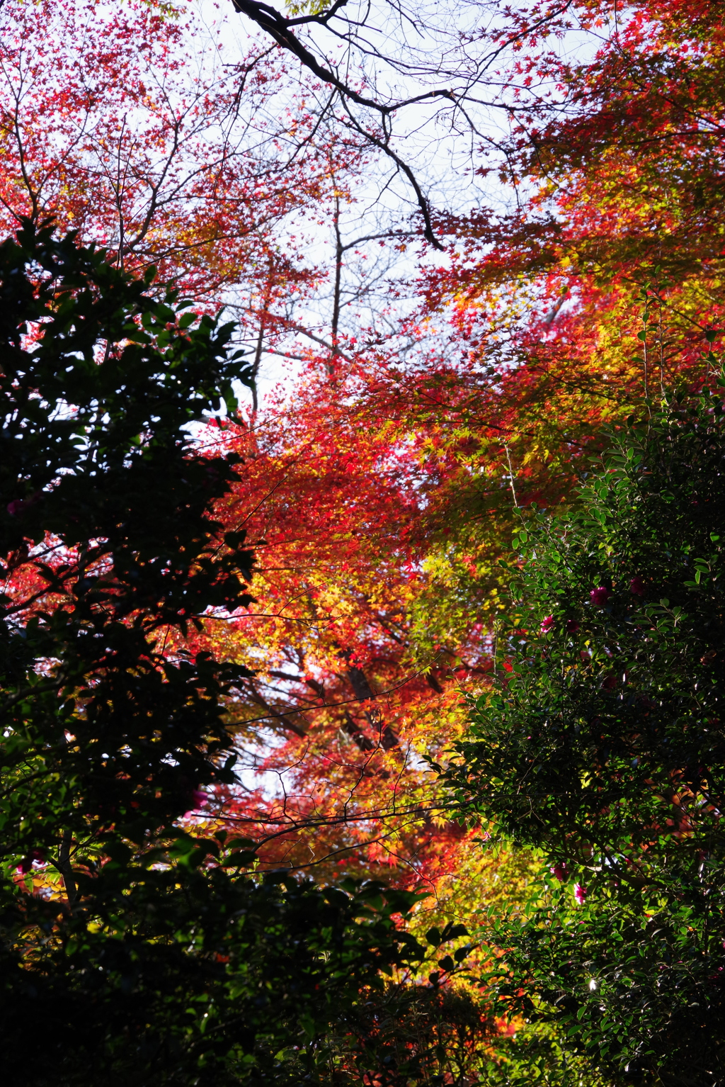 石山寺にて③