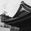 富山散歩