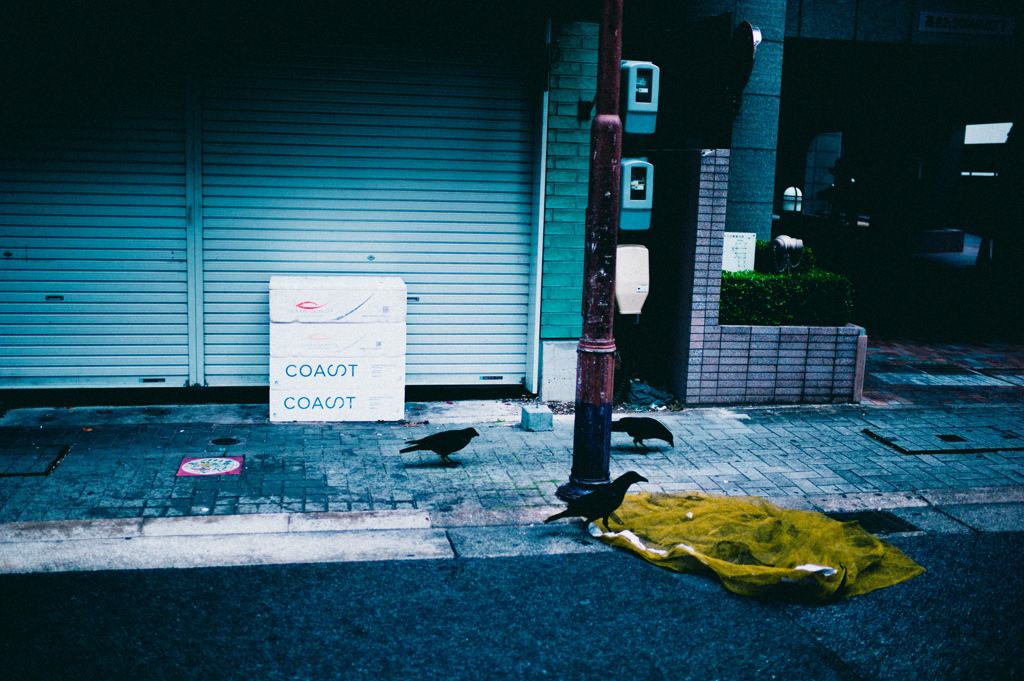 カメラ片手に