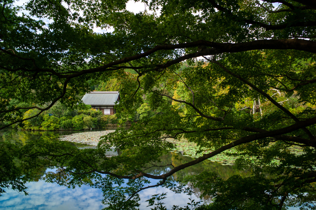 旅　京都