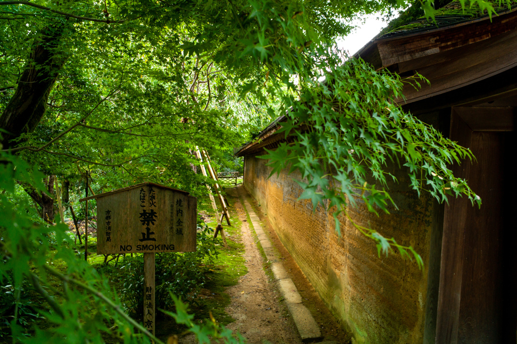 旅　京都