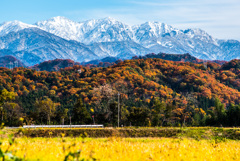 北アルプスと紅葉