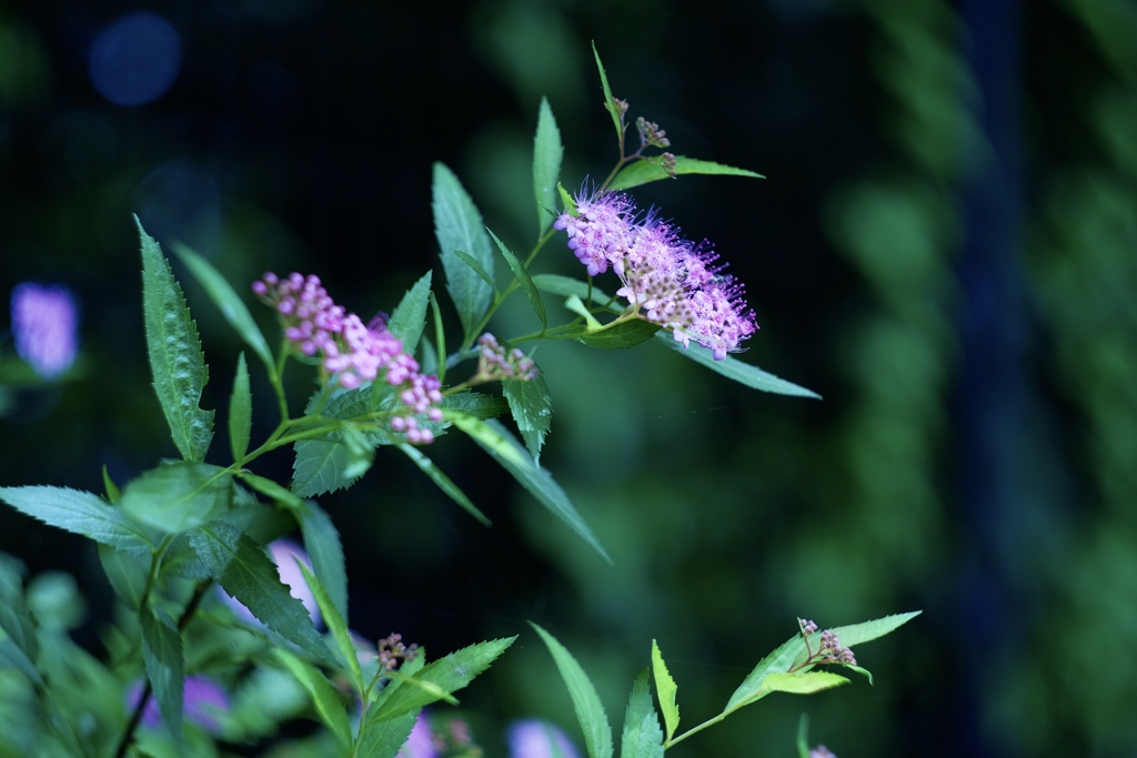 0B698744-0DAE-4AC0-921E-CAAA11AD5927