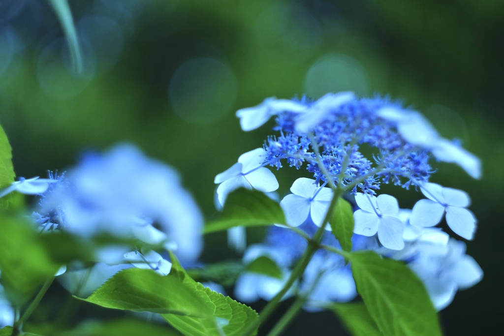 364499BE-34DE-4EB6-A8EE-893DBC7F7D44