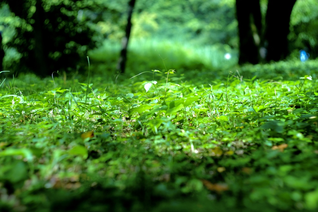 A3AF90A8-E215-49F2-8DB2-3099D28D3395