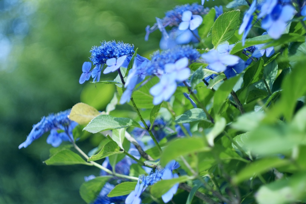 0DB99956-402B-42AA-8E45-BDBA3E629B10