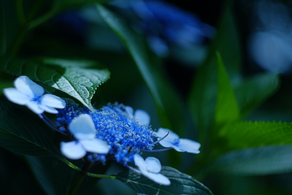 4395B57C-5026-497B-8C29-6066E54CF2C5