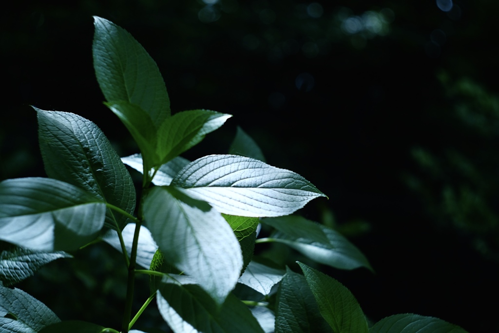 7C957FBD-2153-46D4-8180-3314DFC5FC9B