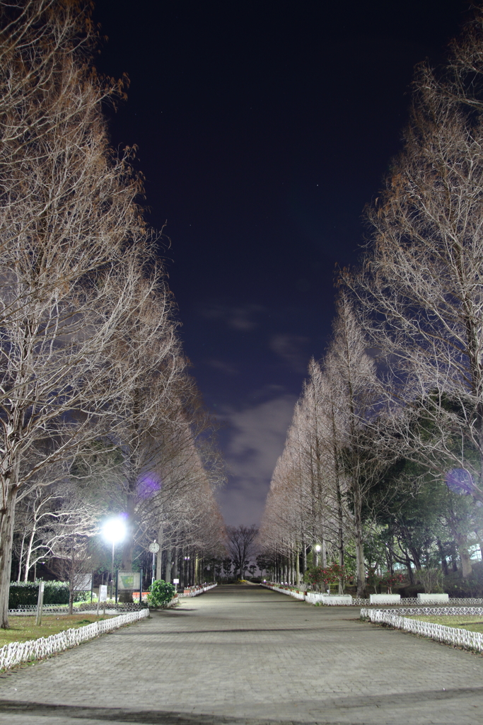 夜の公園にて！
