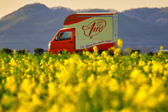 菜の花畑と移動販売車