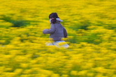 流し撮り練習中