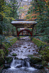弥彦神社　2019 秋