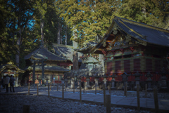 日光の朝九時