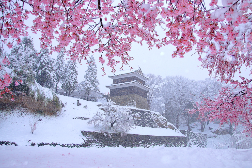 季節外れの大雪