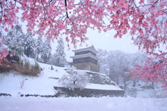 季節外れの大雪
