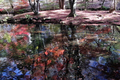 水辺のキャンパス