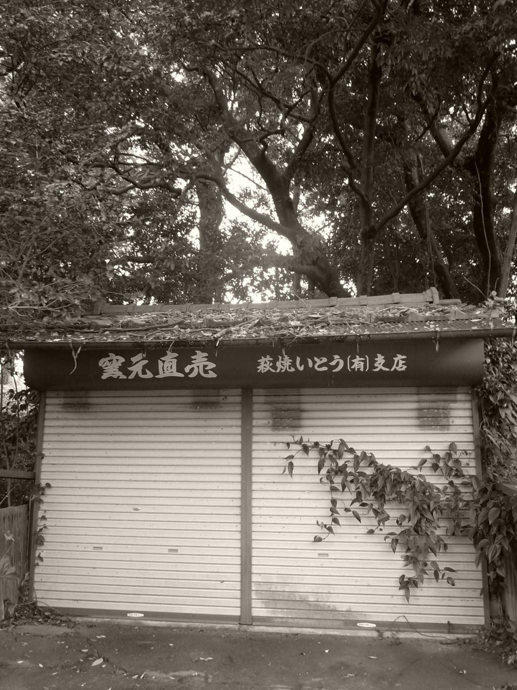 廃墟２