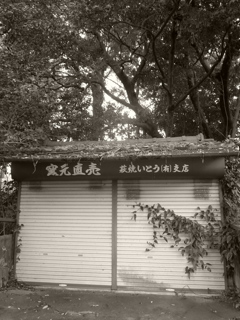 廃墟２
