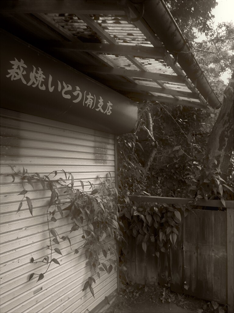 廃虚