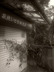 廃虚