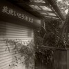 廃虚
