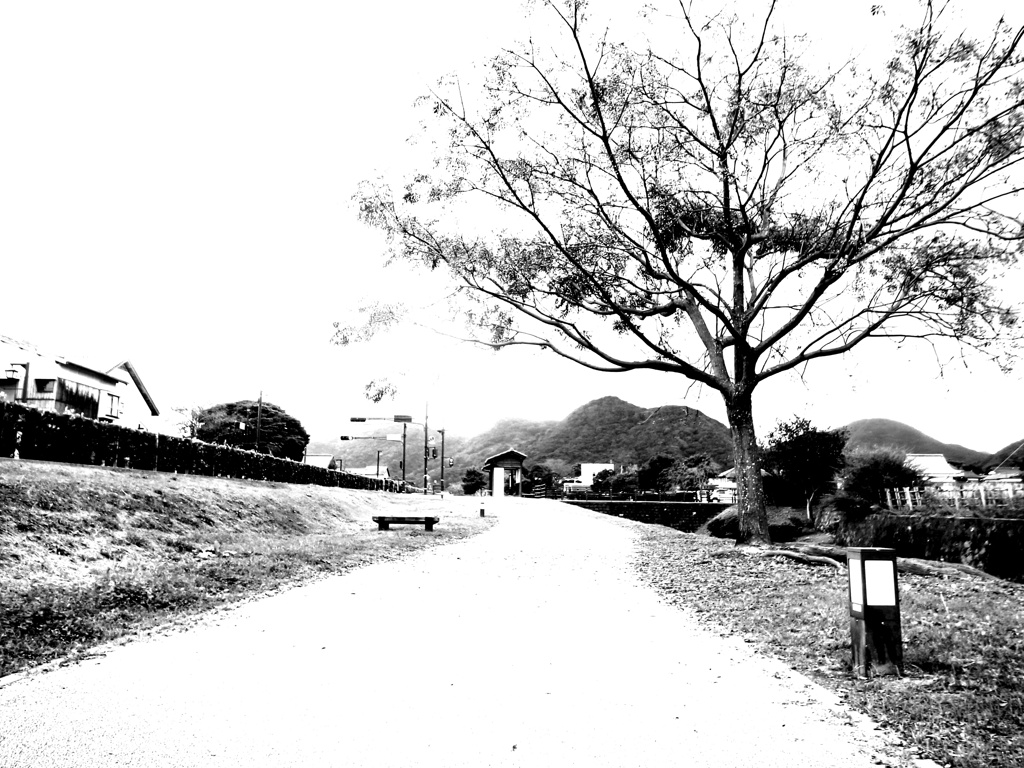 帰り道