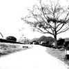 帰り道