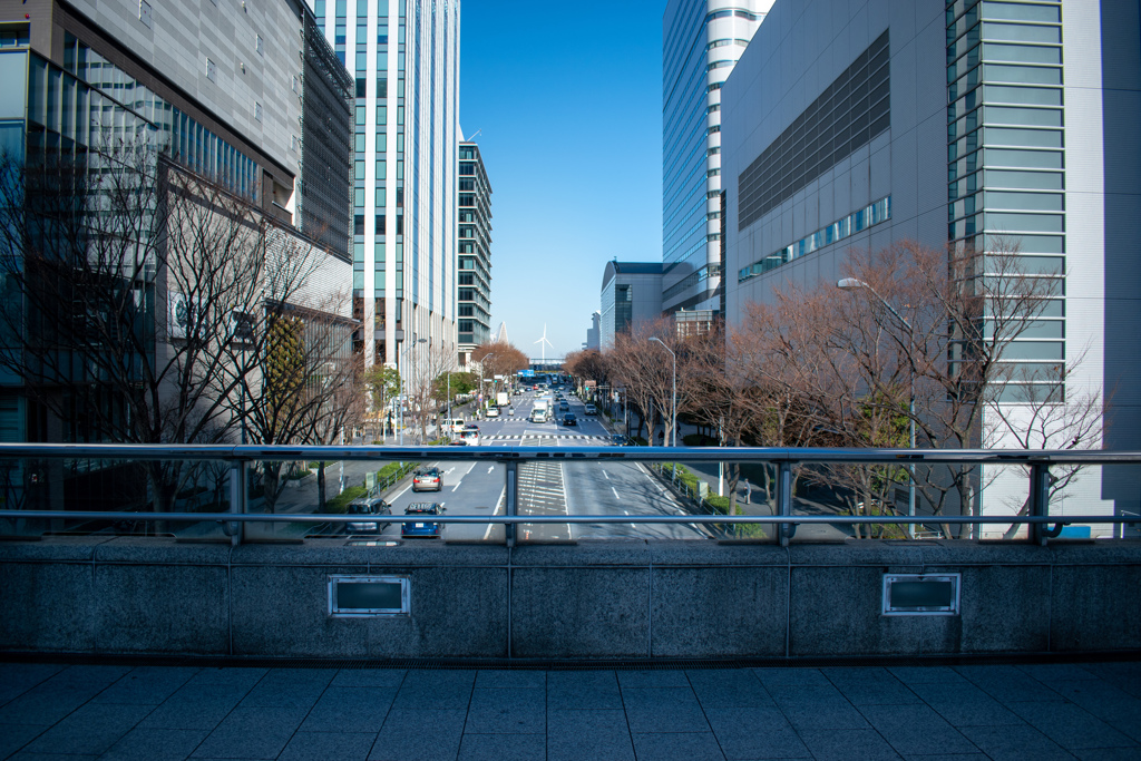 誰かの通り道