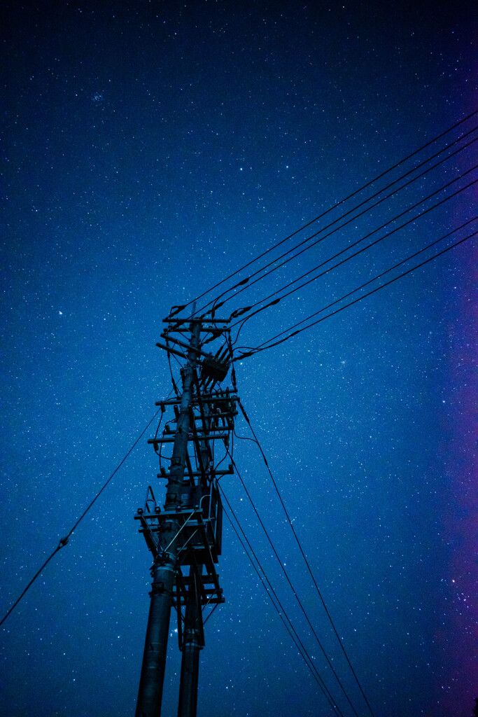 電信柱