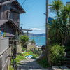 夏の気配（早い