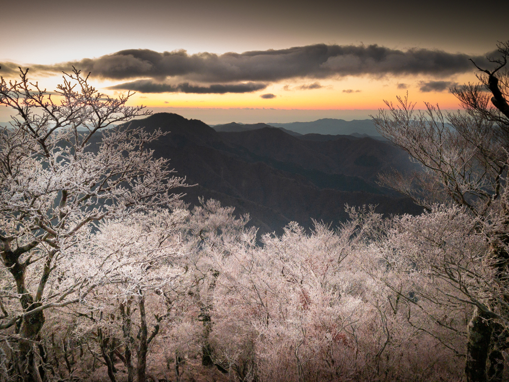 雲早山の夜明けと霧氷