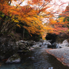 秋の殿川内渓谷