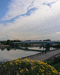 IMG_20191206_202941_848