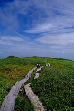 月山の木道