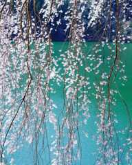 IMG_20200405_075752_332
