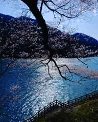 IMG_20200405_081025_173