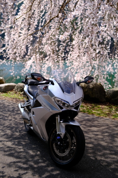 VFR800F