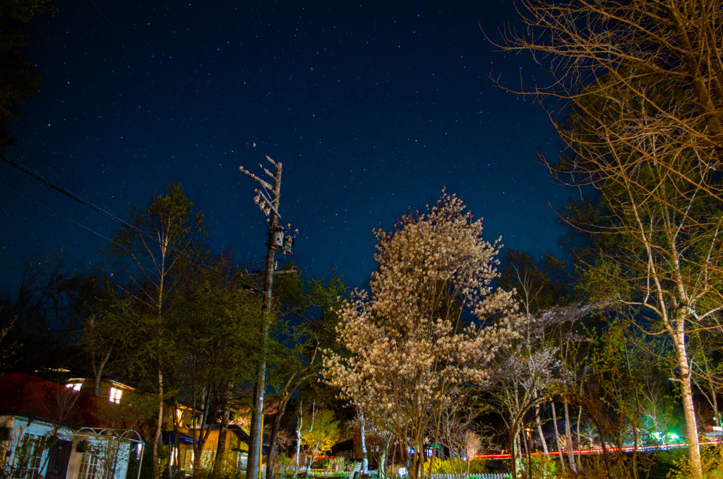 八ヶ岳の星空