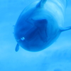 リラックス