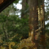 神輿の小鳥