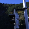 信号1