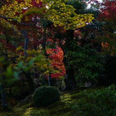 紅葉