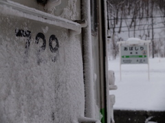 2019_1129_11254100
