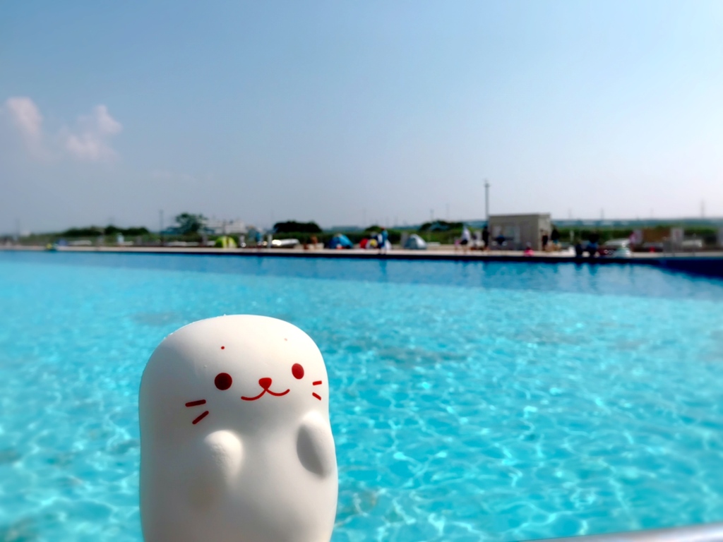 プールの休憩タイムしろたん