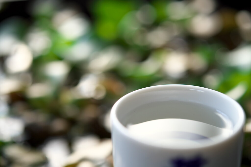 今日の一杯