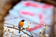 花を添えて