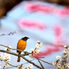 花を添えて